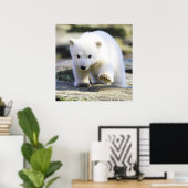 Poster Animaux de bébés cutest | Bébé Ours polaire (Bureau à domicile)
