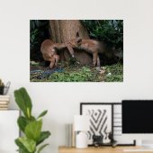 Poster Animaux de bébés cutest | Bébé Renards Jouer (Bureau à domicile)