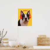 Poster Animaux de bébés cutest | Casques Terrier de Bosto (Cuisine)