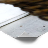 Poster Animaux de bébés cutest | Chat dans le lit (Coin)