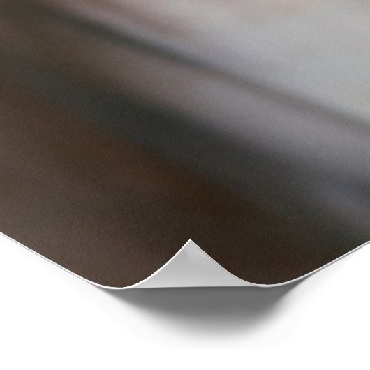 Poster Animaux de bébés cutest | Chat Sphinx (Coin)