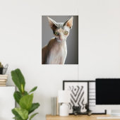 Poster Animaux de bébés cutest | Chat Sphinx (Bureau à domicile)