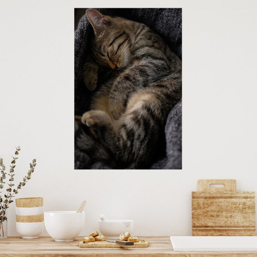 Poster Animaux de bébés cutest | Chat Tabby Dormant (Cuisine)