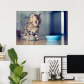 Poster Animaux de bébés cutest | Chaton persan aux yeux b (Bureau à domicile)