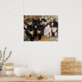 Poster Animaux de bébés cutest | Chatons noirs et blancs (Cuisine)