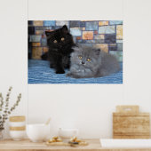 Poster Animaux de bébés cutest | Chatons persans sur couv (Cuisine)