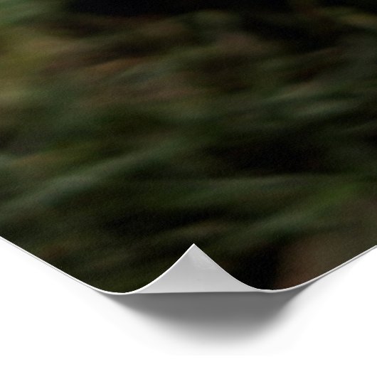 Poster Animaux de bébés cutest | Chiot Beagle (Coin)