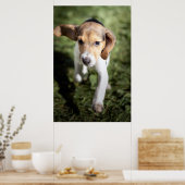 Poster Animaux de bébés cutest | Chiot Beagle (Cuisine)