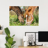 Poster Animaux de bébés cutest | Colt à cheval (Bureau à domicile)