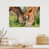 Poster Animaux de bébés cutest | Colt à cheval (Cuisine)