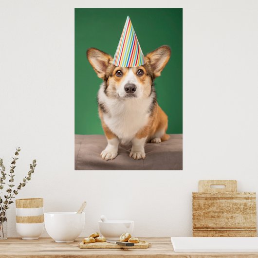 Poster Animaux de bébés cutest | Corgi Anniversaire Chiot (Cuisine)