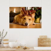 Poster Animaux de bébés cutest | Corgi Christmas Reindeer (Cuisine)