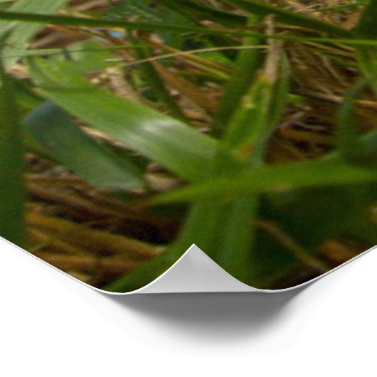 Poster Animaux de bébés cutest | Corgi dans le nuage (Coin)