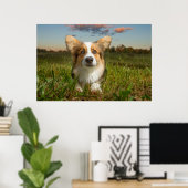 Poster Animaux de bébés cutest | Corgi dans le nuage (Bureau à domicile)