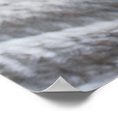 Poster Animaux de bébés cutest | Corgi Head Tilt (Coin)