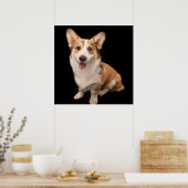 Poster Animaux de bébés cutest | Corgi Puppy Smile (Cuisine)