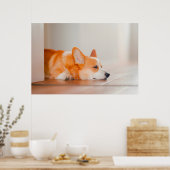 Poster Animaux de bébés cutest | Corgi Sleeping (Cuisine)