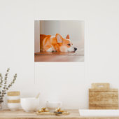 Poster Animaux de bébés cutest | Corgi Sleeping (Cuisine)