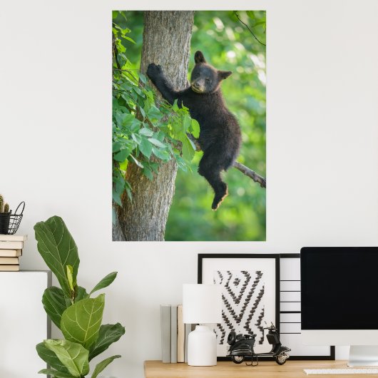 Poster Animaux de bébés cutest | Cube d'ours noir (Bureau à domicile)