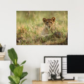 Poster Animaux de bébés cutest | Cute Baby Lion Cub (Bureau à domicile)