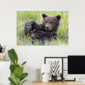 Poster Animaux de bébés cutest | Cute Brown Bear Cub Joue (Bureau à domicile)