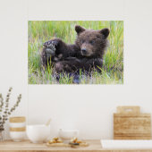 Poster Animaux de bébés cutest | Cute Brown Bear Cub Joue (Cuisine)