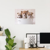 Poster Animaux de bébés cutest | Cute Corgi Chipies dans (Bureau à domicile)