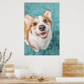 Poster Animaux de bébés cutest | Cute Corgi Puppy Smile (Cuisine)