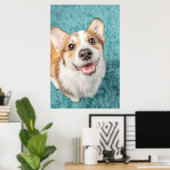 Poster Animaux de bébés cutest | Cute Corgi Puppy Smile (Bureau à domicile)