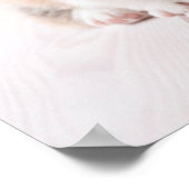 Poster Animaux de bébés cutest | Deux Bébés Corgis assis (Coin)