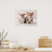 Poster Animaux de bébés cutest | Deux Bébés Corgis assis (Cuisine)