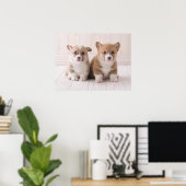Poster Animaux de bébés cutest | Deux Bébés Corgis assis (Bureau à domicile)