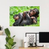 Poster Animaux de bébés cutest | Deux jeunes chimpanzés (Bureau à domicile)