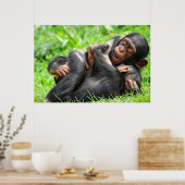 Poster Animaux de bébés cutest | Deux jeunes chimpanzés (Cuisine)