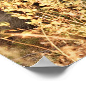 Poster Animaux de bébés cutest | Deux jeunes éléphants (Coin)