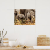 Poster Animaux de bébés cutest | Deux jeunes éléphants (Cuisine)