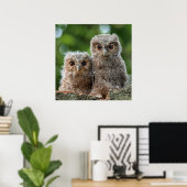 Poster Animaux de bébés cutest | Deux jeunes hiboux (Bureau à domicile)