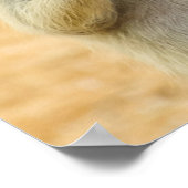 Poster Animaux de bébés cutest | Deux jeunes Meerkats (Coin)