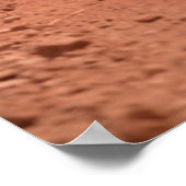 Poster Animaux de bébés cutest | Deux jeunes zèbres (Coin)