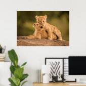 Poster Animaux de bébés cutest | Deux Lions Cubs (Bureau à domicile)
