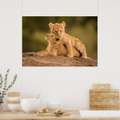 Poster Animaux de bébés cutest | Deux Lions Cubs (Cuisine)