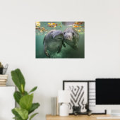 Poster Animaux de bébés cutest | Deux Manatees (Bureau à domicile)