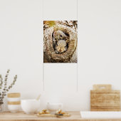 Poster Animaux de bébés cutest | Écureuils curieux (Cuisine)