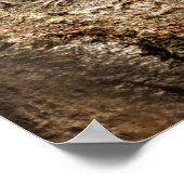 Poster Animaux de bébés cutest | Écureuils curieux (Coin)