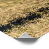 Poster Animaux de bébés cutest | Eléphant mère & bébé (Coin)