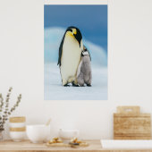 Poster Animaux de bébés cutest | Empereur Penguin Chick (Cuisine)