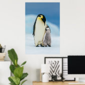 Poster Animaux de bébés cutest | Empereur Penguin Chick (Bureau à domicile)