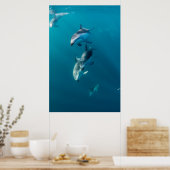 Poster Animaux de bébés cutest | Famille de dauphins (Cuisine)