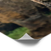 Poster Animaux de bébés cutest | Famille d'ours Brown (Coin)