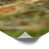 Poster Animaux de bébés cutest | Famille Hérisson (Coin)